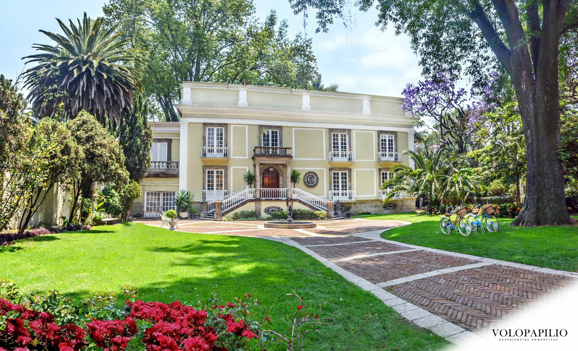 Bed & Breakfast Mansion Papilio Mexico-stad